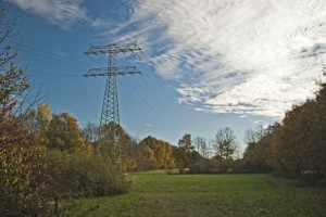 Herbst 4