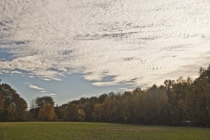 Herbst