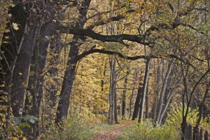 Herbst 2