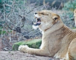 Zoo Hannover (13)