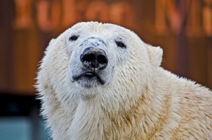 Zoo Hannover (16)
