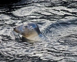 Zoo Hannover (18)