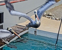 Zoo Hannover (19)