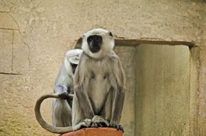 Zoo Hannover (22)