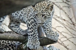 Zoo Hannover (23)