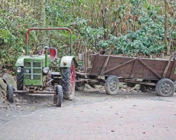 Zoo Hannover (29)