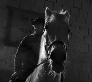Reiten als Therapie 4
