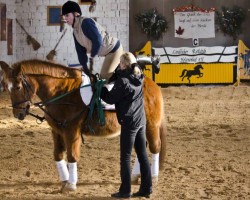 Reiten als Therapie 2