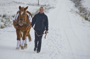 Reiten als Therapie 1
