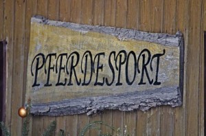 Reiten als Therapie
