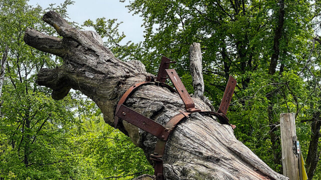 Auf in den Harz…