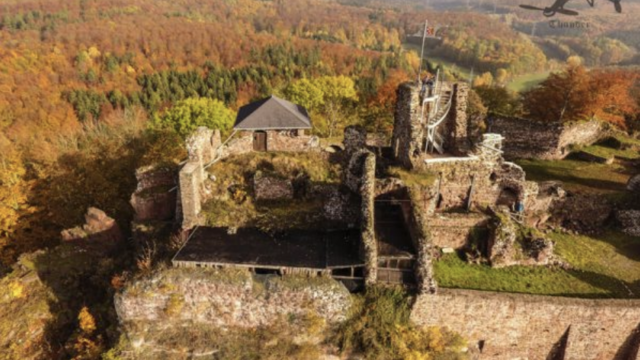 Die Burgruine Hohnstein