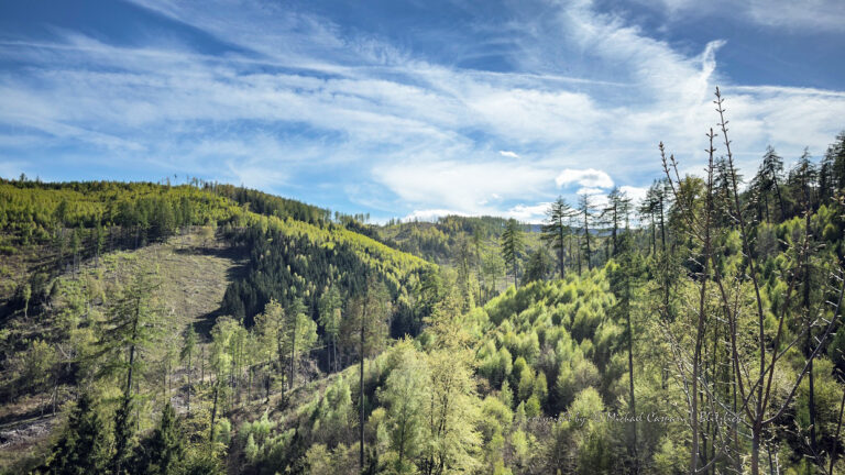 15 km, knapp 400 Höhenmeter … und der Kopf wird frei